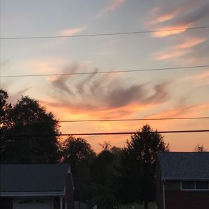 Meet your Posher, Judy